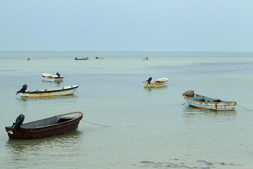 sea landscape boat qatar