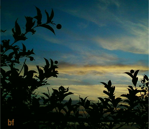 sunset arkansas cellphonephotography