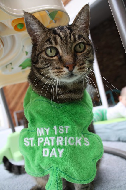 St. Patricks Day 2012