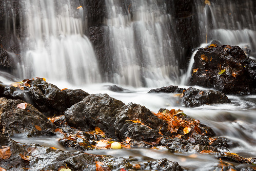 fall leaves waterfall nb newbrunswick waterfalls newmills newmillsfalls