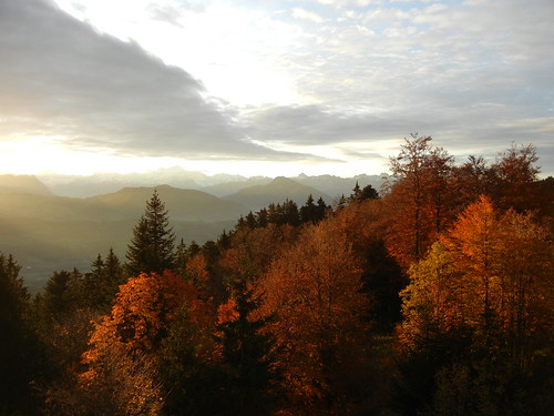 light sky sun mountain france tree alpes sunrise monastery mont voirons 10112011taizémontvoirons montvoirons