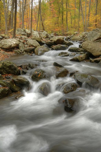 autumn fall leaves virginia waterfall nationalpark nikon outdoor hiking hdr d300 18200mm photomatix nottrash