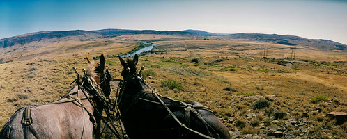 vacation horse usa holiday america chuckwagon wagon landscape cowboy roadtrip trail western casper wyoming oregontrail historictrailswest