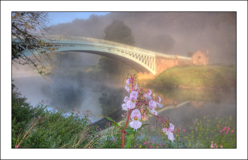 morning bridge flowers trees light reflection fauna sunrise river dawn wye wyevalley riverwye bigsweir bigsweirbridge