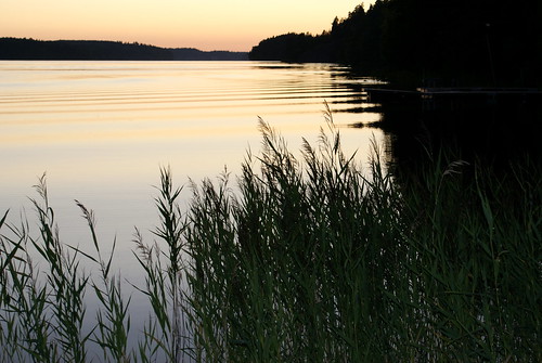 sunset nature water view östergötland