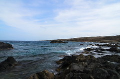 Aruba2011-985.jpg