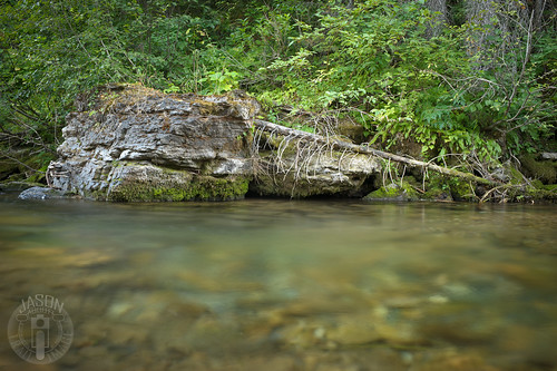 creek idaho loopcreek