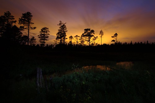 longexposure nightphotography trees sunset sky reflection water silhouette stream swamp marsh redsky trondheim sørtrøndelag illumintaed svarttjønna