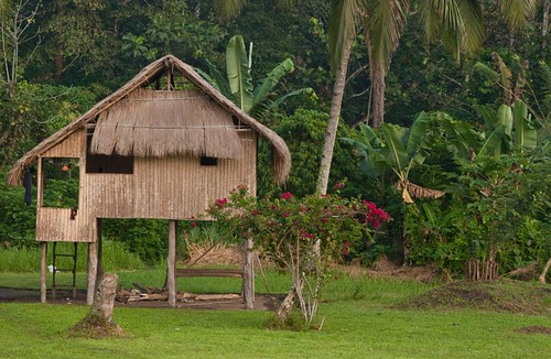 traditional hut png homestay kokoda kebara
