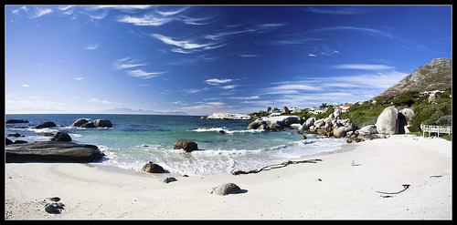 africa beach canon sand boulders granite 5d fullframe simonstown bouldersbeach spheniscusdemersus jackasspenguin africanpenguins philipmilne