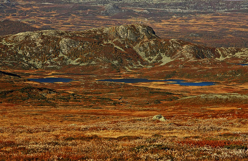 autumn red orange mountain lake mountains nature water norway rock canon landscape rocks autumncolours valdres oppland canonef24105mmf4lisusm canoneos40d canon40d klaracolor slettefjellveien