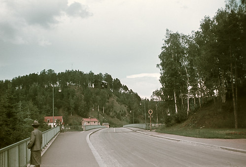 road trees landscape riksantikvarieämbetet theswedishnationalheritageboard