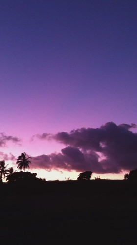 sunset nature beautiful island kalapana hawaii bigisland coconuttrees puna