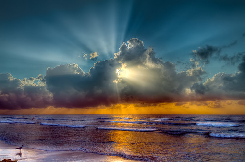 ocean sun beach gulfofmexico clouds sunrise canon golden surf day texas surfer tx seagull 7d sunburst independence 4thofjuly hdr