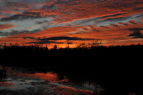 sunset ontario canada reflection water silhouette clouds peterborough