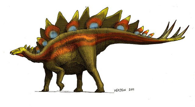 stegosaurus color | Explore paul heaston's photos on ...