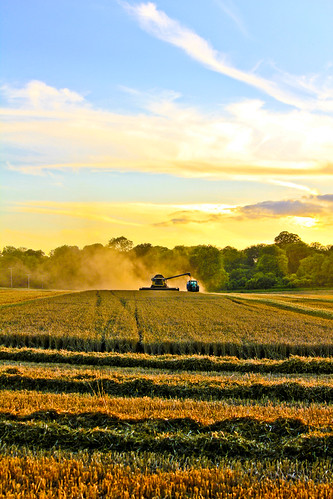 sunset sky tractor field corn wheat harvest combine trailer johndeere harvesting newholland