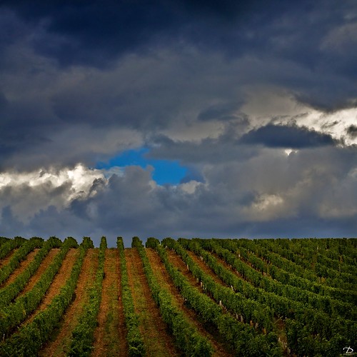 france ciel vin nuages vignes vignoble vouvray touraine jimages châteaudevalmer