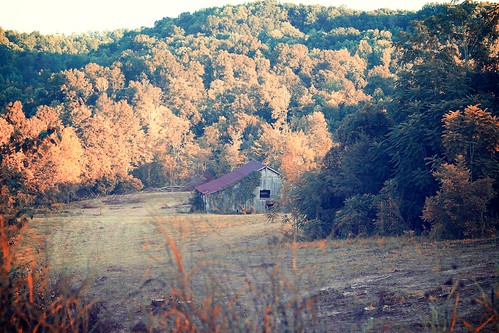 sunset summer fall leaves barn rural canon countryside farm tennessee country 300mm foliage efs ef