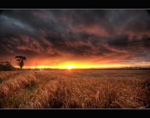 sunset cloud sun tree field rain clouds corn glow cumbria pylons distance carlisle dalston