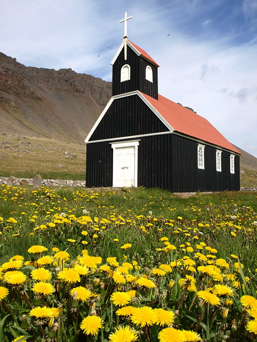 church landscape iceland lutheran dandelions kirkja vestfirðir westfjords fíflar rauðasandur rauðisandur saurbæjarkirkja saurbær