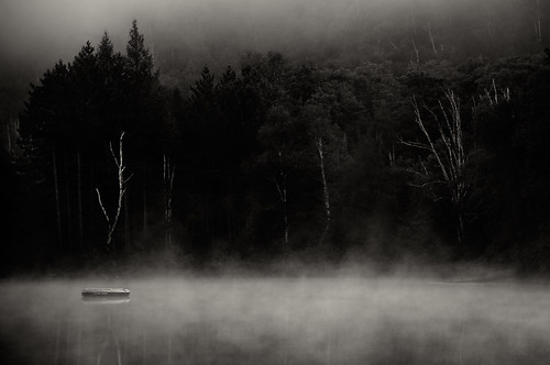 morning trees bw mist lake boat blackwhite nikon algonquinpark d90 oxtonguelake