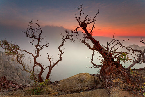 travel trees sunrise indonesia volcano java east eastjava ijen