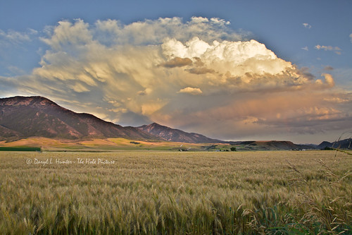 sunset weather idaho agriculture irwin swanvalley thunderhead barleyfield