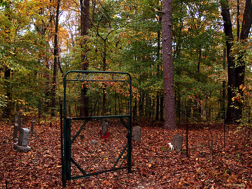 2005 park autumn fall graveyard forest outdoors woods tn tennessee scenic parks southern thesouth lonepine tva wooded usforestservice landbetweenthelakes lbl burialsite foxhollow stewartcounty landbetweenthelakesnationalrecreationarea lonepinecemetary road219