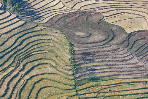 travel newyork nature canon landscape asia southeastasia view rice photojournalism aerial unitednations fields agriculture unphoto timorleste baucau