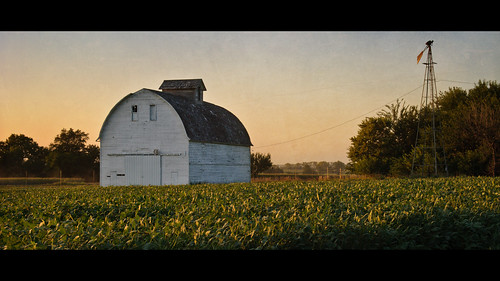 sunset texture windmill field barn rural beans nebraska widescreen gretna 169 beanfield goldenhour 1755mmf28 nikond80 thechallengefactory laughlinc