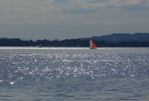 blue lake water sailboat bayern bavaria see wasser blau chiemsee sparkling segelboot glitzern dorenawm renatedodell