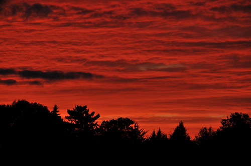 trees sunset red ontario canada silhouette clouds peterborough
