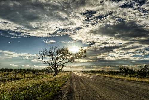 road sunset usa sun sunlight tree nature landscape texas northamerica geotag hdr 2010 bo47 bonielsen nikond3s
