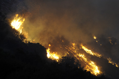 ca usa ecology weather fire events event fireman environment forestfire firefighter environmentalism kingcity brushfire wildfire ecosystem cdf wildlandfire calfire