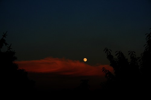 sunset moon alberi clouds tramonto nuvole luna vanmorrison threes mygearandme