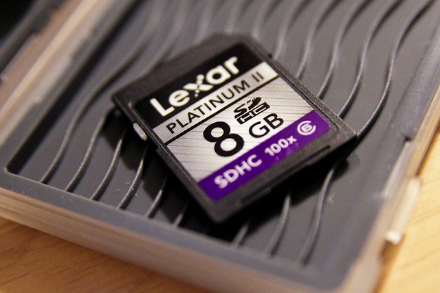 8 GB Lexar Platinum II SDHC Card August 11, 20111