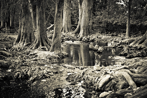 autumn bw usa creek texas boerne 2011 cibilocreek