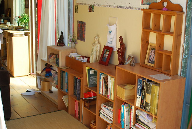the small library, in front of the sofa