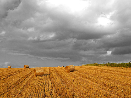 field clouds harvest stubblefield baleofstraw