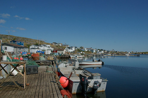 houses newfoundland boats fishing harbour gear wharf greenspond