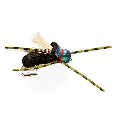 Trout Fly Assortment - Essential Terrestrials Fly Fishing Flies Collection  - Includes Foam Hoppers, Ants, Beetles, and Cicadas