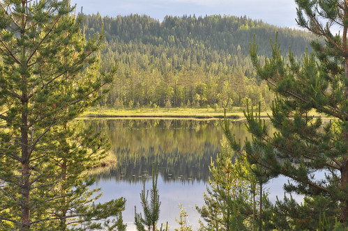 travel blue summer sunlight green tourism water clouds reflections river landscape gold colorful sweden scenic 2011 nikond90 nikkor18200mmf3556lens toryporter vasterbottenslan lyckselekommun