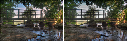 plants ny stereoscopic stereophotography 3d crosseye upstate upstateny handheld chacha hdr 3dimensional crossview crosseyedstereo 3dphotography indianladdertrail