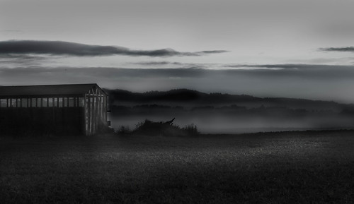 blackandwhite fog oregon barn landscape vista 1001nights sauvie suavieisland 1001nightsfog landscapeblackandwhitevista