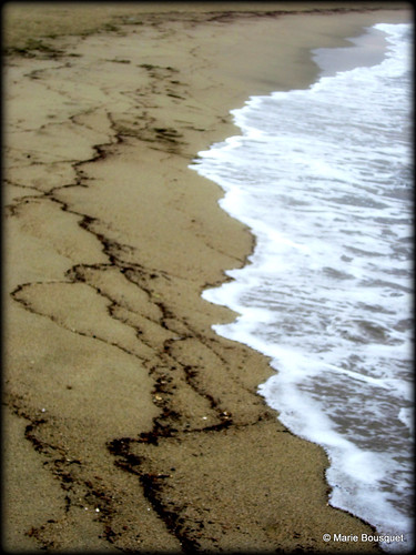 mer sable plage septembre bois matin écume saintemarie pyrénéesorientales bleumarie mariebousquet photomariebousquet