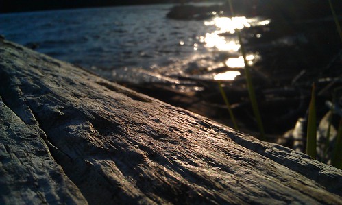 wood light sunset lake canada reflection vancouver island desire driftwood htc