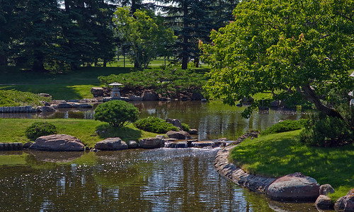 canada reflection tree water garden japanesegarden pond stream stones alberta lethbridge da7024ltd nikkayukogarden