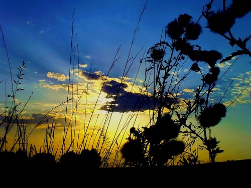 sunset cloud sun field landscape sonnenuntergang feld wolken sonne fujifilmhs20
