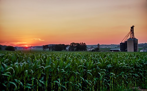 sunset field rural corn farm country wi hdr